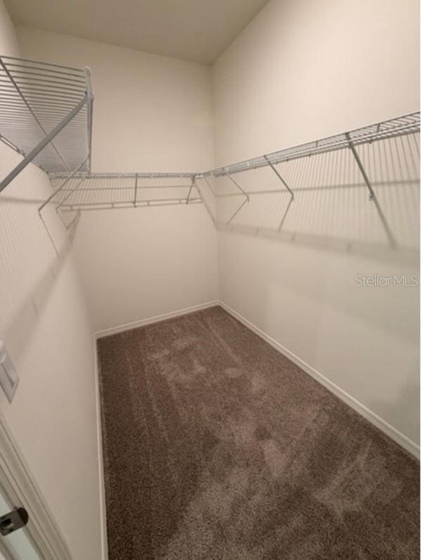 37 ZEPHYR LILY TRL — photo 10