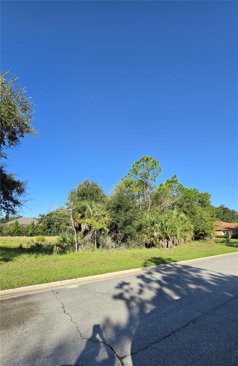 57 S OLD OAK DR — photo 4