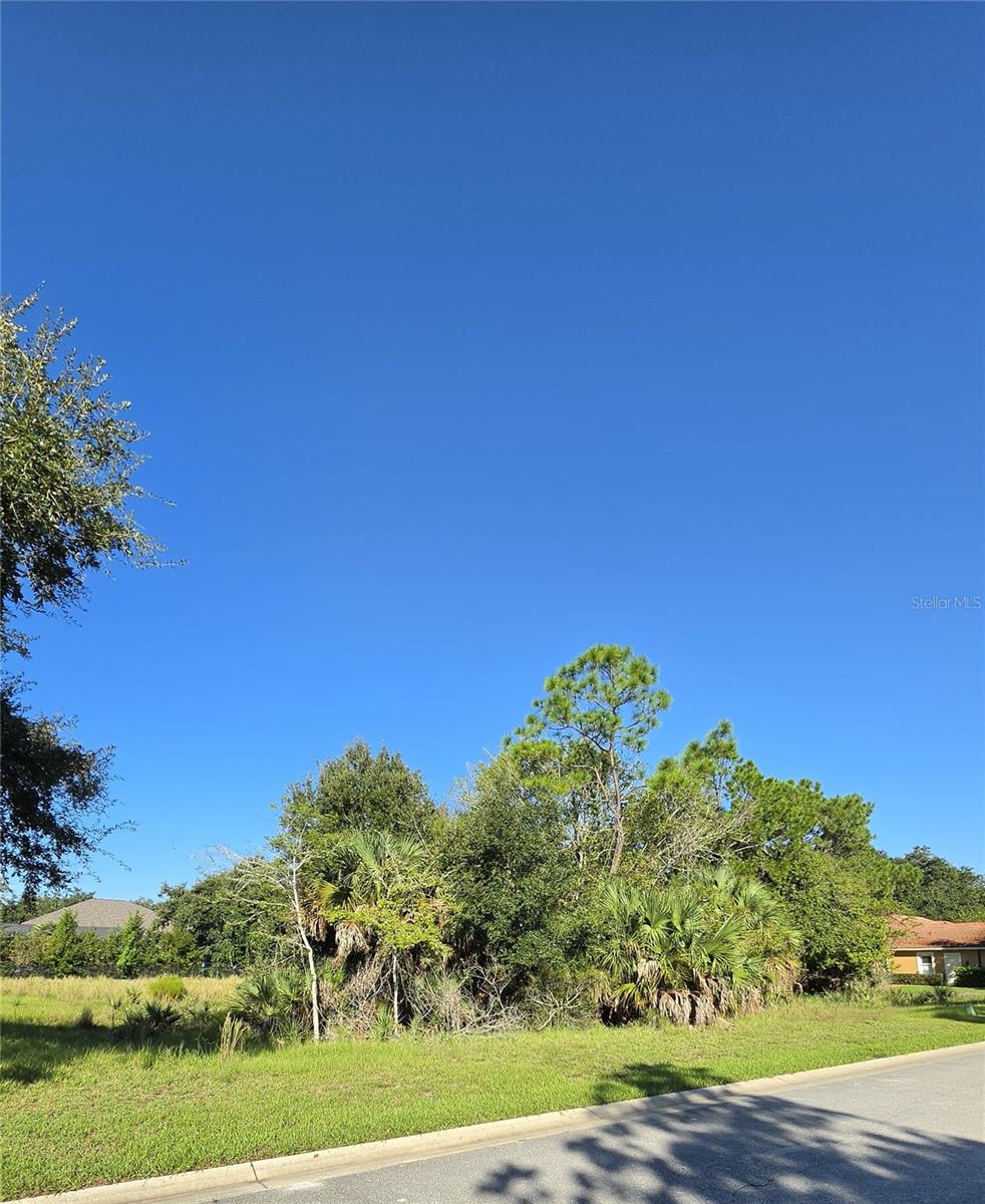 57 S OLD OAK DR — photo 9