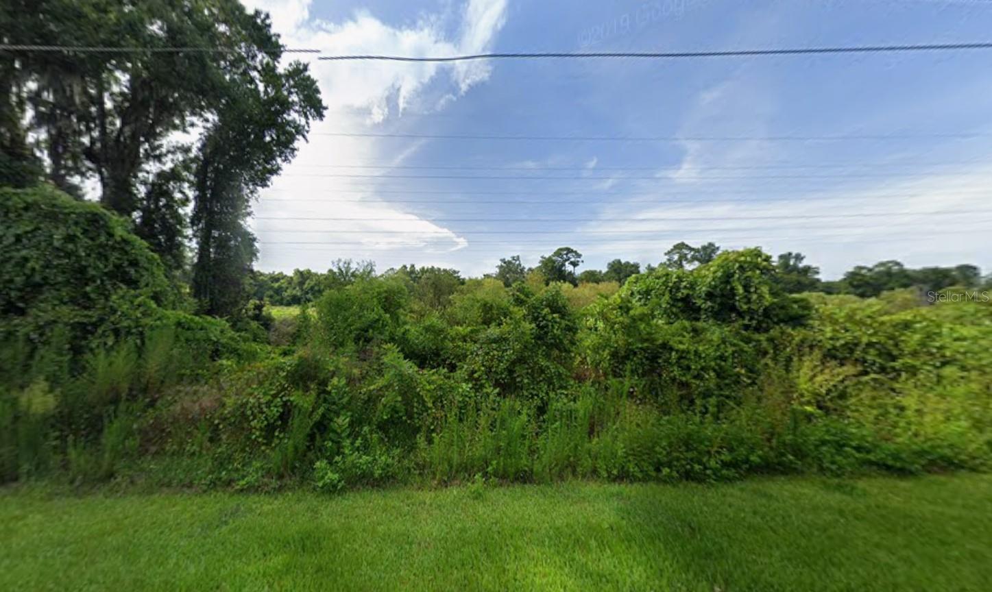 266 TOMS RD — photo 7