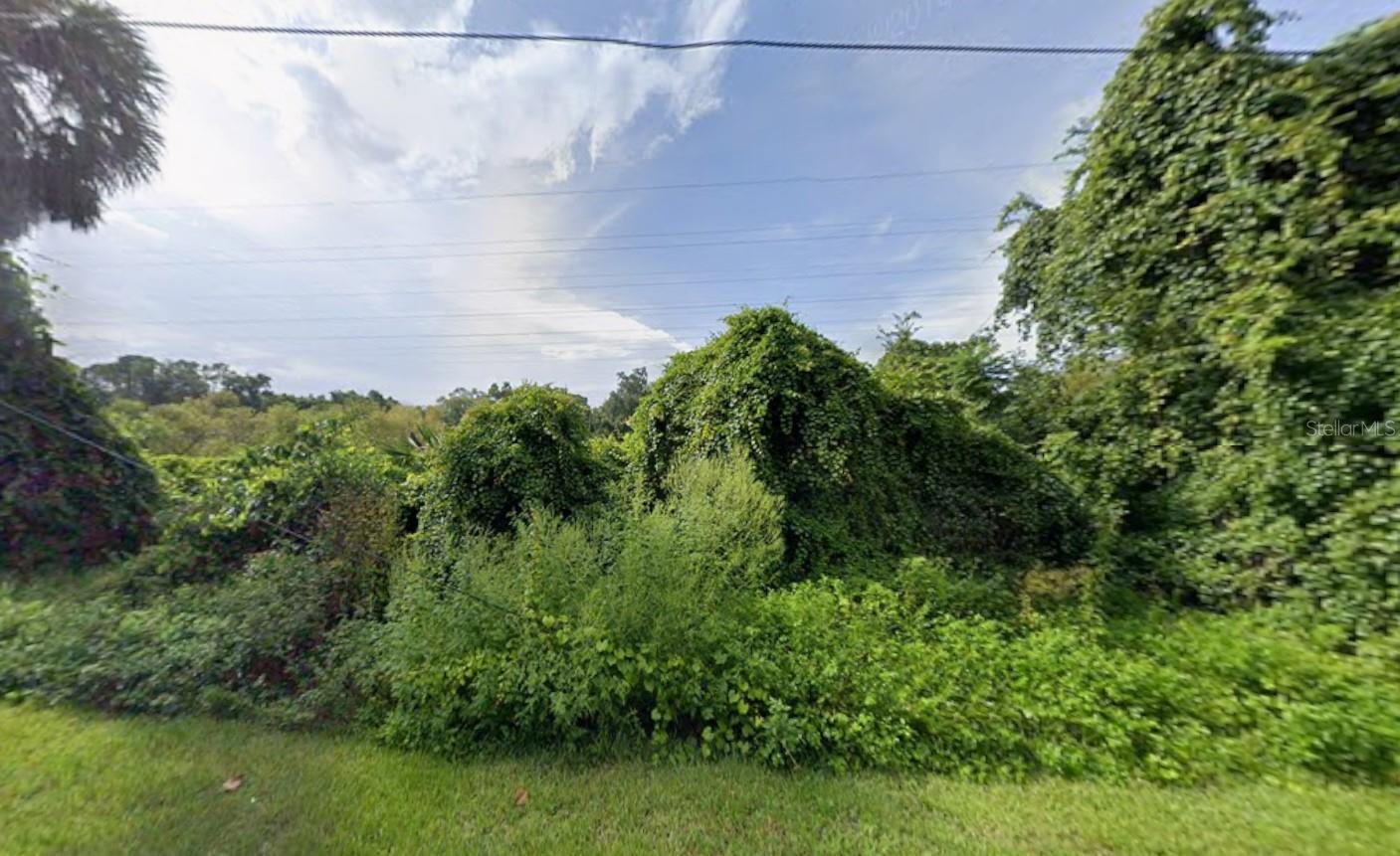 268 TOMS RD — photo 6