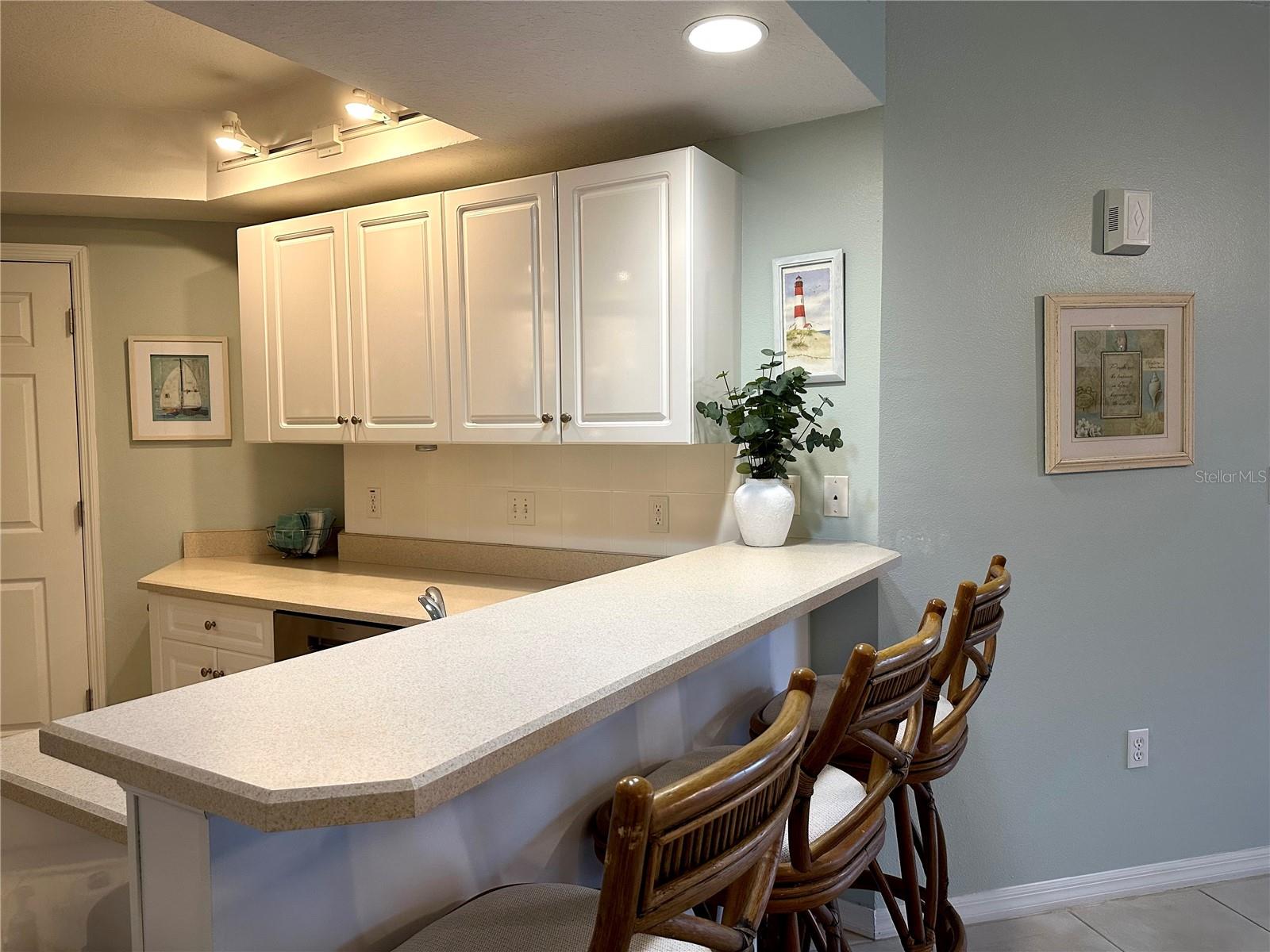 5300 S ATLANTIC AVE #8-402 — photo 12
