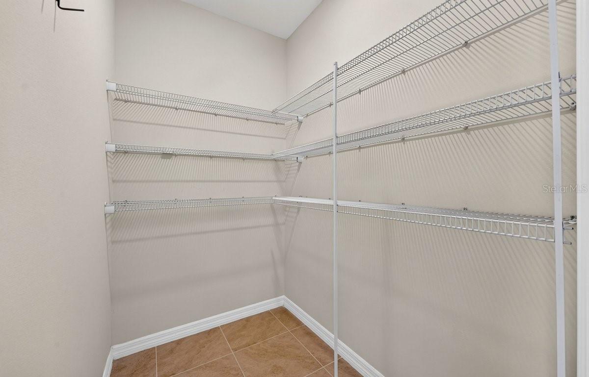 3118 BORASSUS DR — photo 12