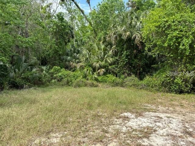 1747 TURTLE HILL RD — photo 5