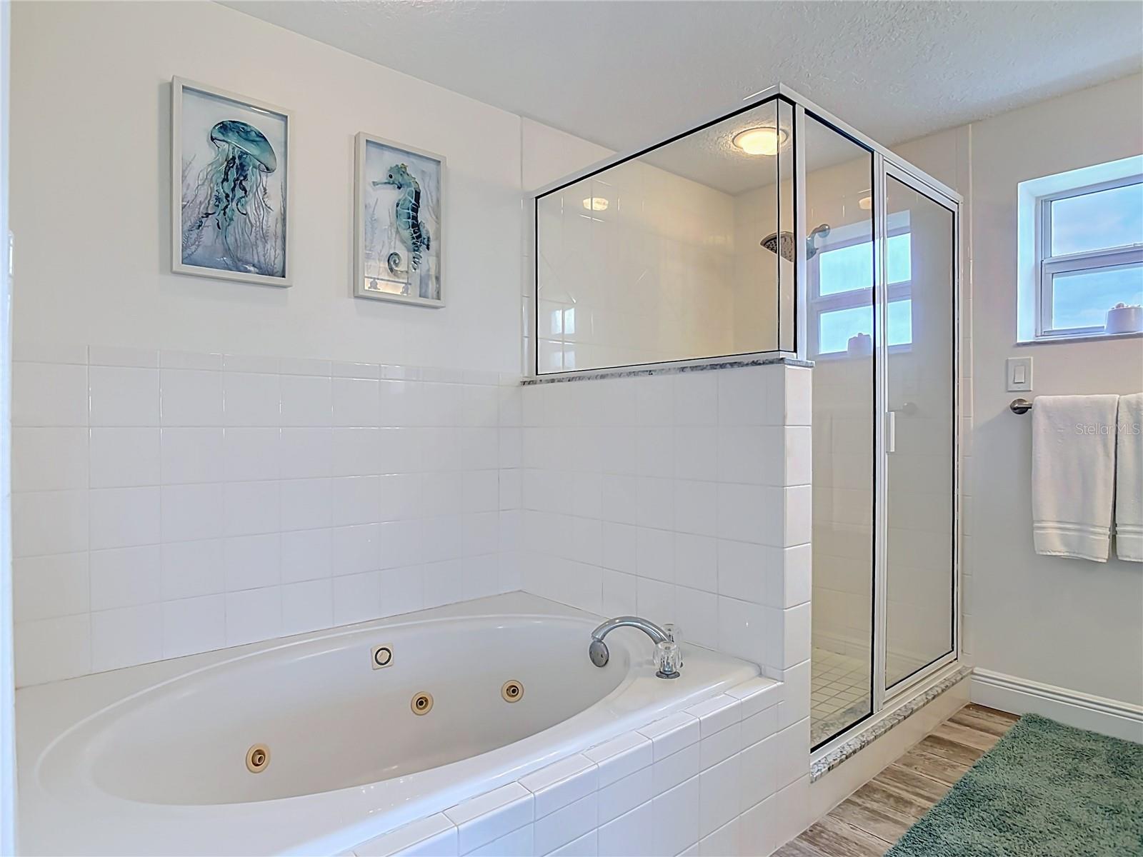 5300 S ATLANTIC AVE #5-301 — photo 12