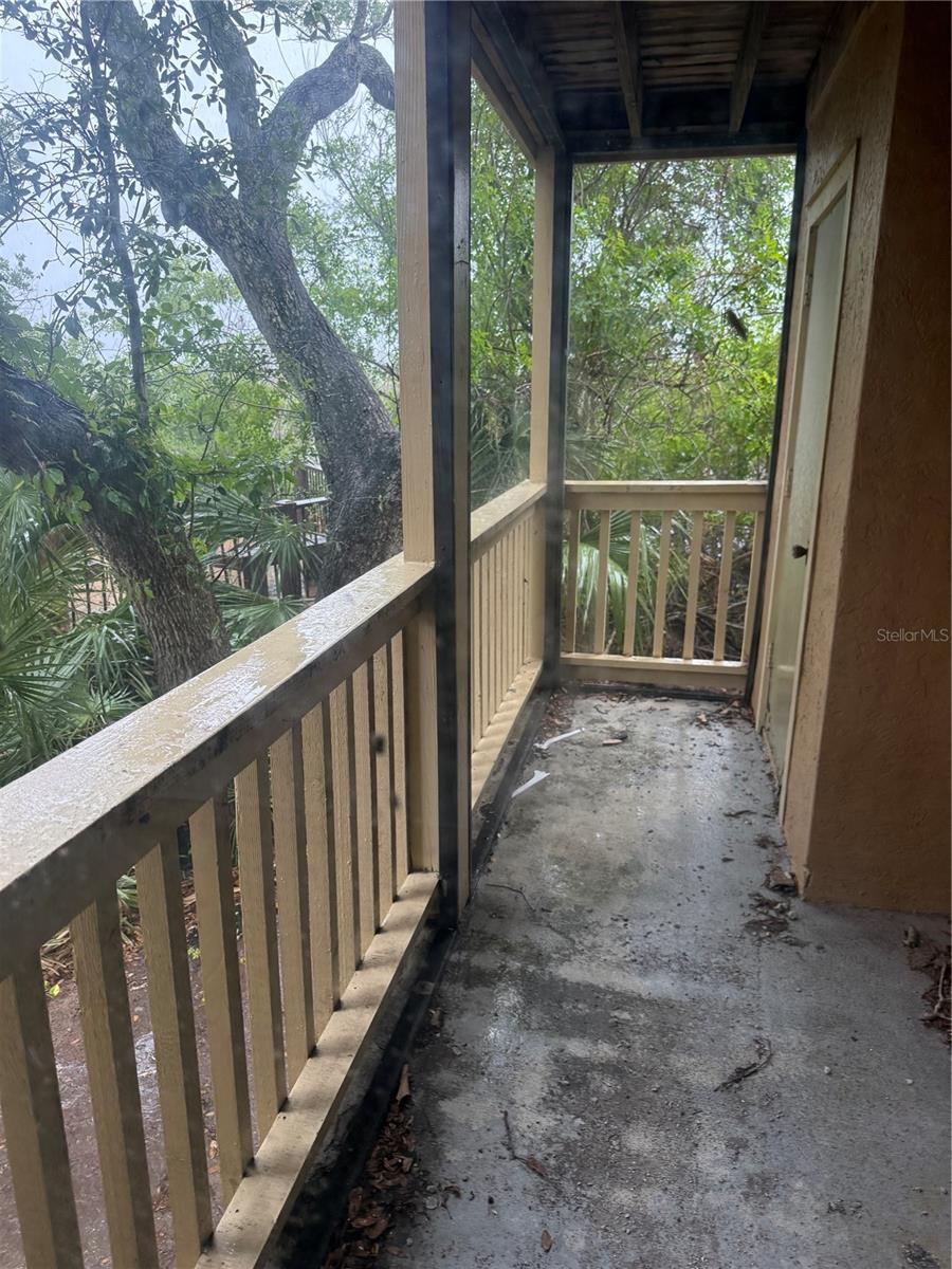 1401 S PALMETTO AVE #201 — photo 9