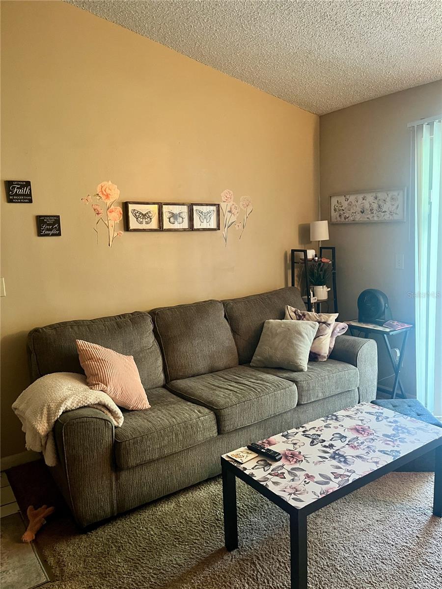 709 SECRET HARBOR LN #205 — photo 2