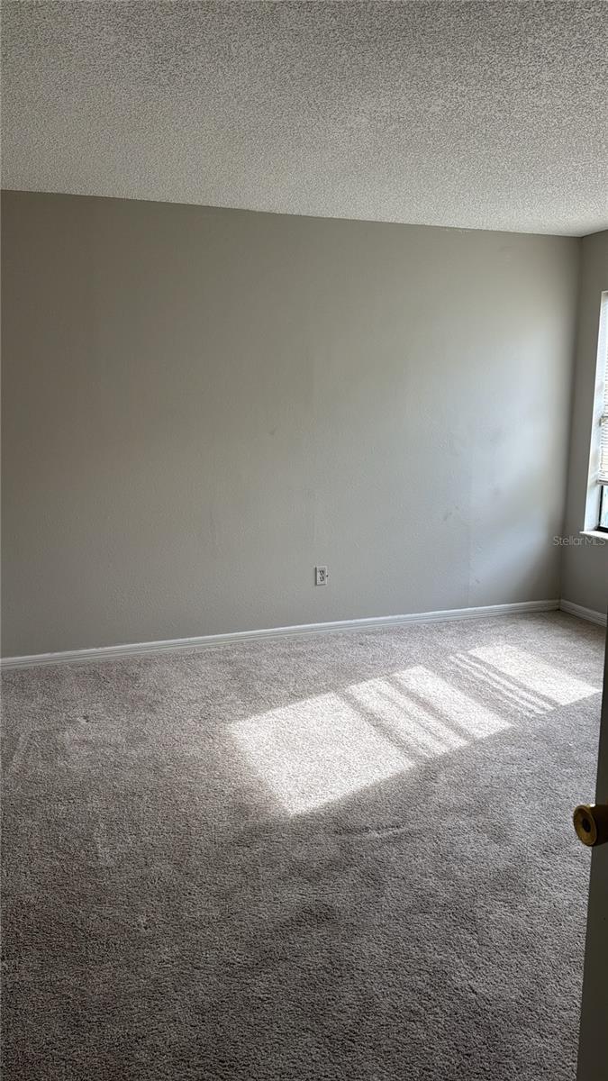 3124 PIGEON COVE ST — photo 9