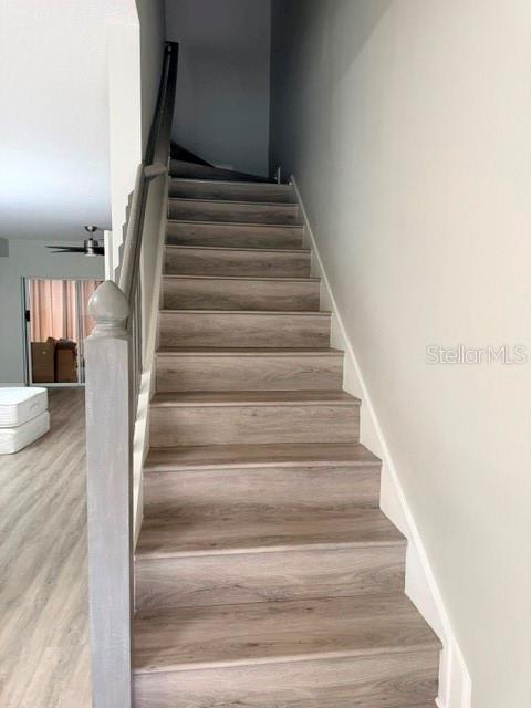 1178 VINELAND PL — photo 7