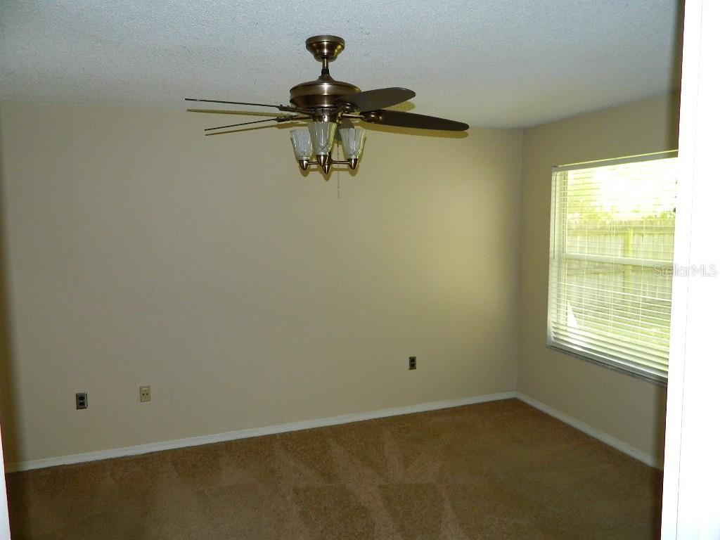 317 SILVER PINE DR — photo 9