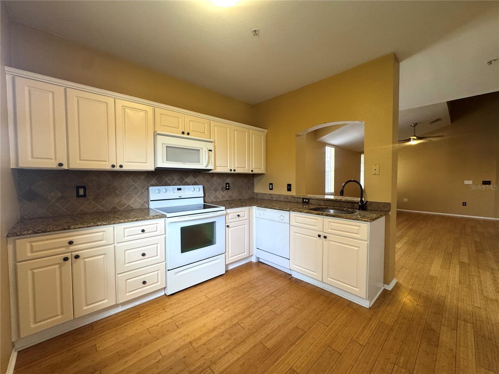 1321 ARBOR VISTA LOOP #317 — photo 8