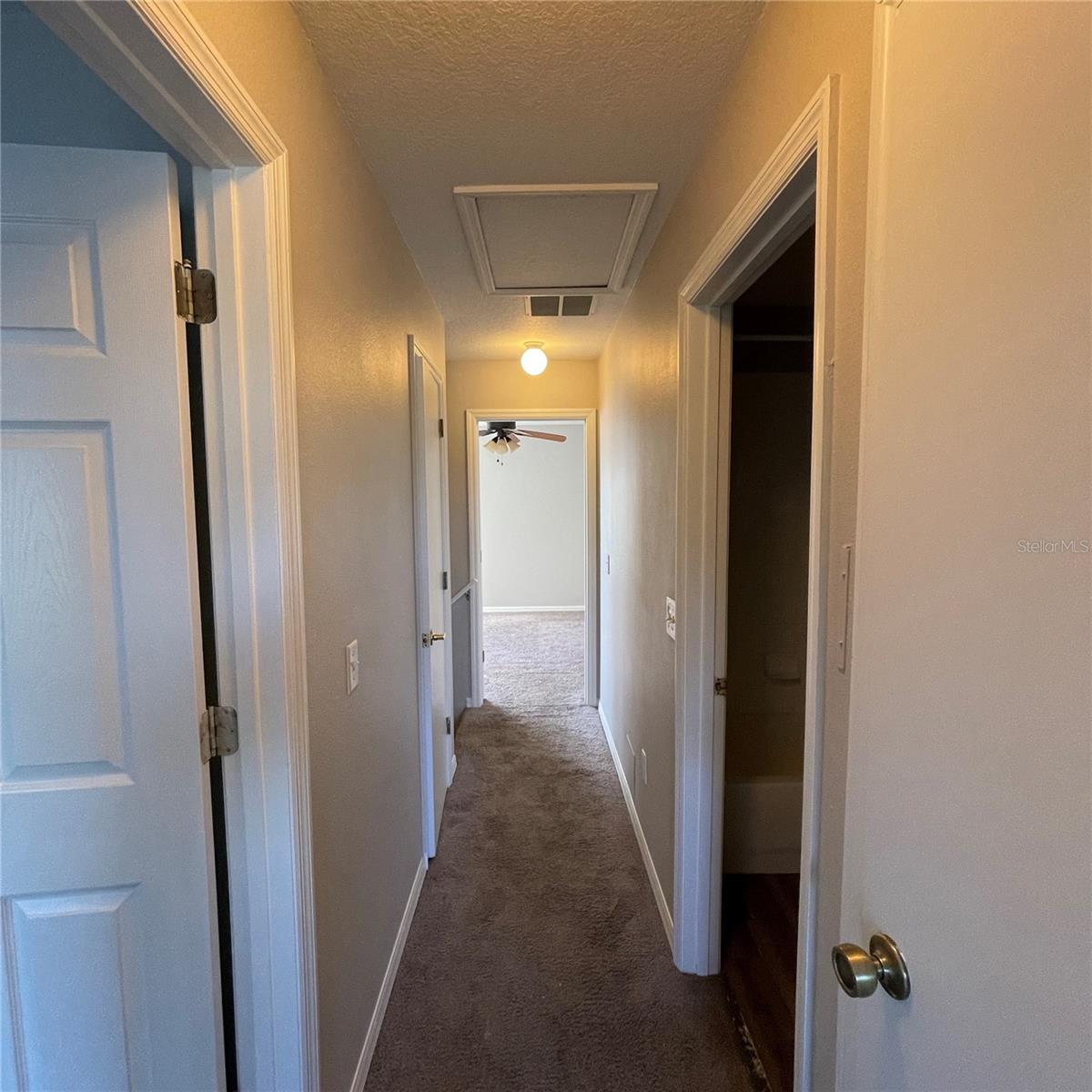 621 WASHINGTON PALM LOOP — photo 10