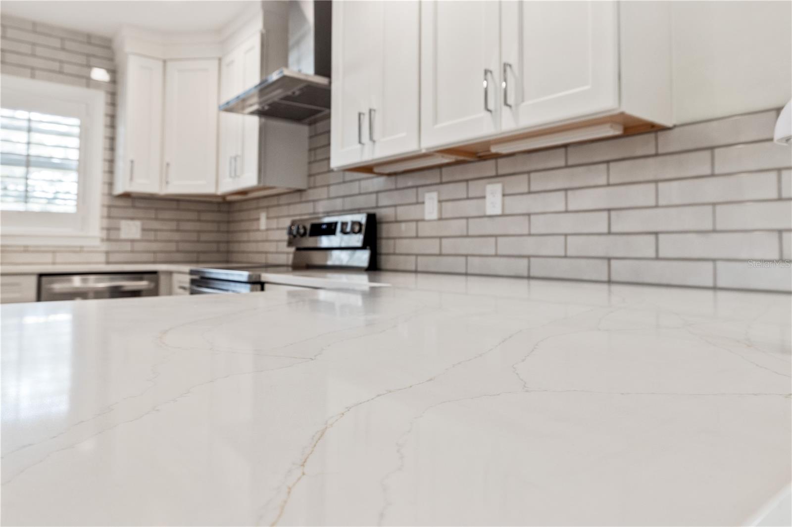 5009 W NEPTUNE WAY — photo 6