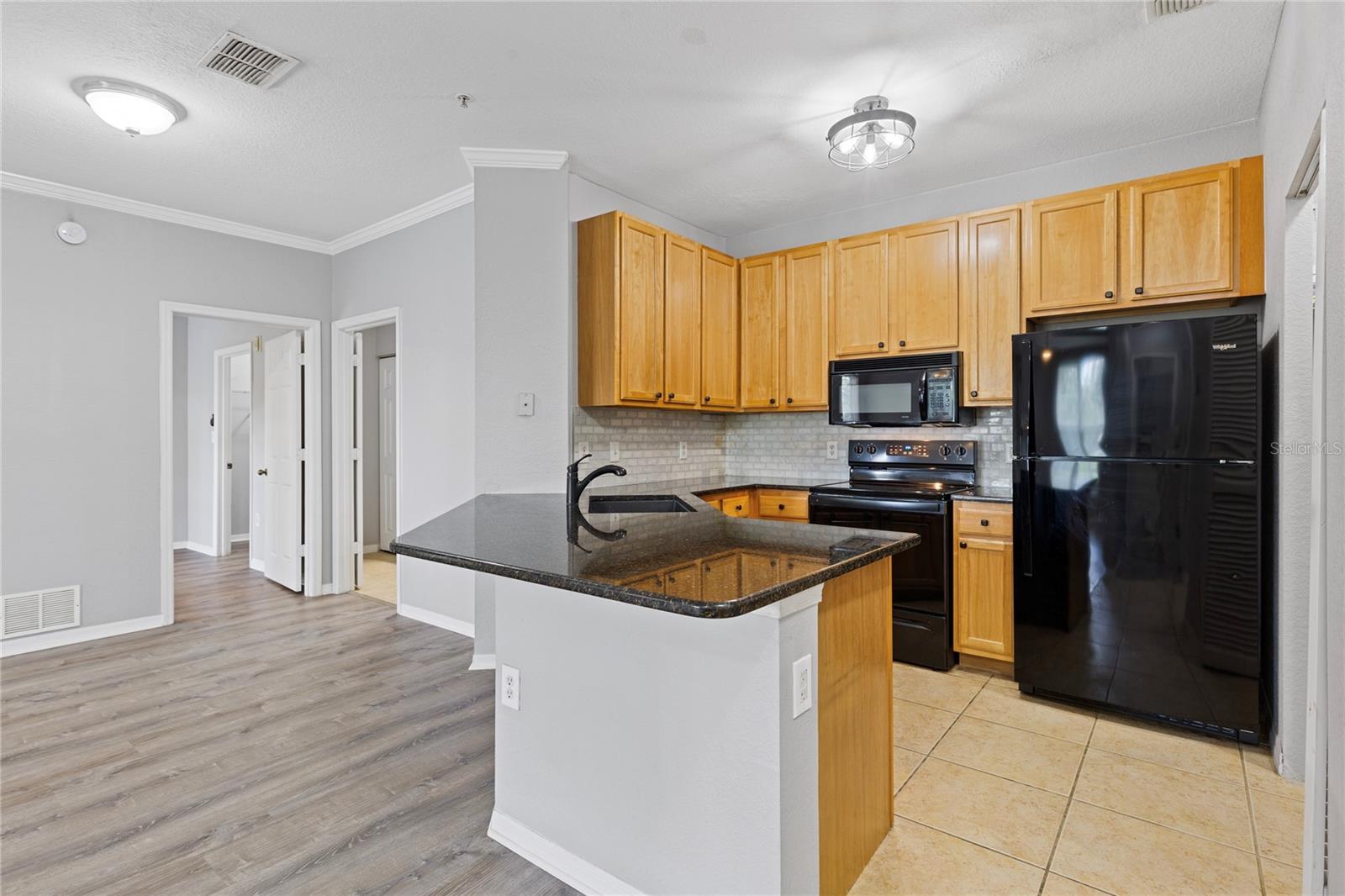 10105 COURTNEY OAKS CIR #203 — photo 10