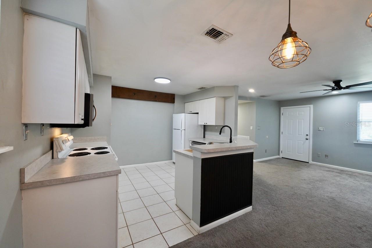 10210 DAVIS RD — photo 6