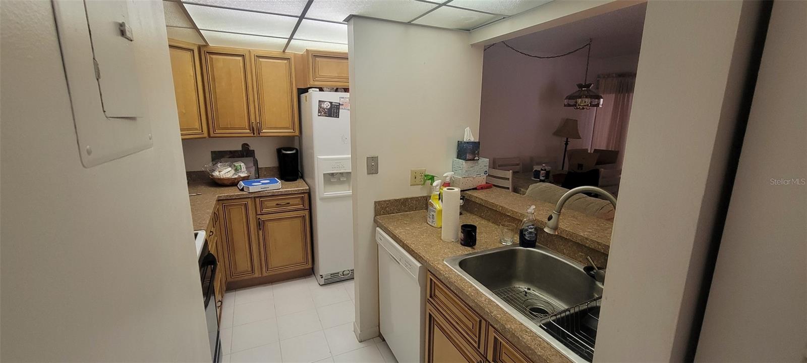 180 MAGNOLIA WOODS CT #19A — photo 6