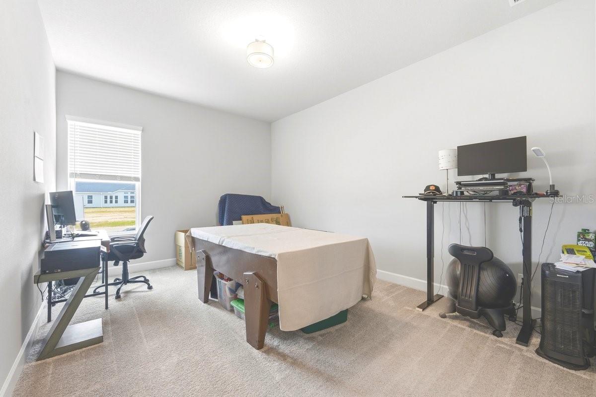 246 AZURE MIST WAY — photo 7