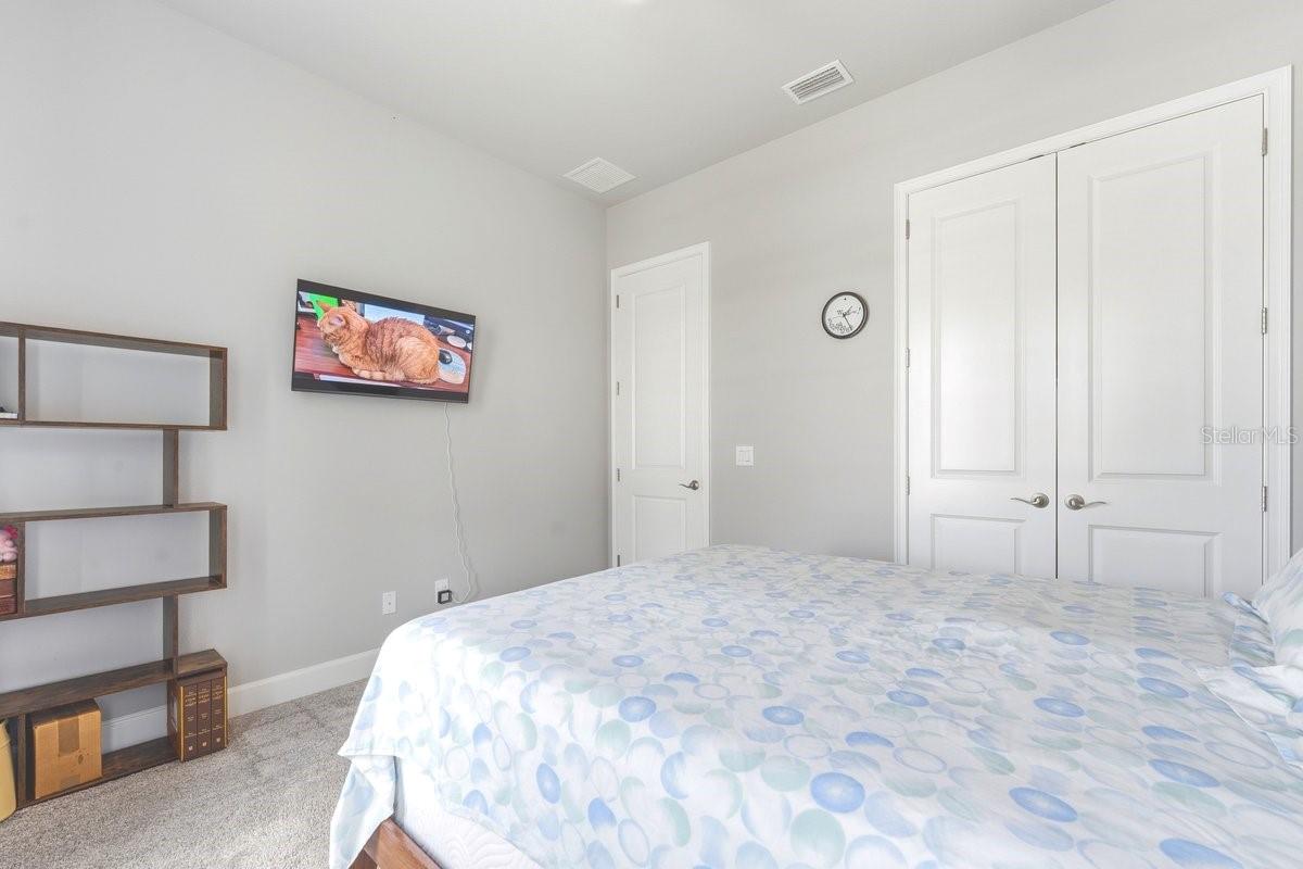 246 AZURE MIST WAY — photo 9