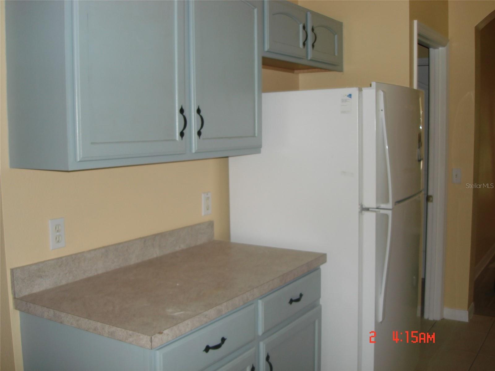606 ALDER GROVE DR — photo 10