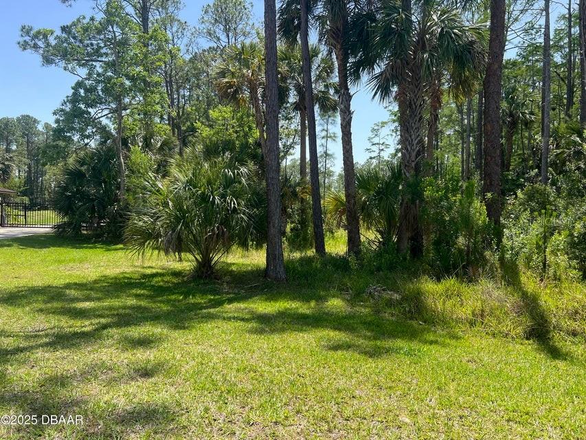 3 REMINGTON RD